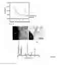 Fig. 09 - Semiconductor-oxides nanotubes-based composite particles useful for dye-removal and process thereof