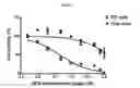 Fig. 06 - MICROFLUIDIC CHIP FOR SCREENING ANTICANCER DRUG RESISTANT CELLS AND USE THEREOF