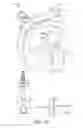 Fig. 10 - Container feeding and cleaning apparatus