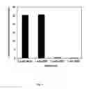 Fig. 04 - Remediation of contaminated particulate materials