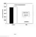 Fig. 06 - Remediation of contaminated particulate materials