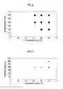 Fig. 05 - Method of manufacturing an immunochromatographic kit