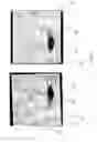 Fig. 04 - Splitting of a solid using conversion of material