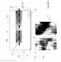 Fig. 16 - Splitting of a solid using conversion of material