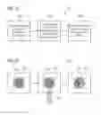 Fig. 02 - Method for a post process treatment for manufacturing at least a part of a molded sporting good