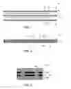 Fig. 02 - Cooking utensil having a graphite core