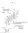 Fig. 08 - Inkjet head arrangement and control of liquid jetting apparatus