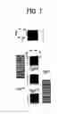 Fig. 06 - LIGHT IRRADIATION APPARATUS AND INFORMATION REWRITABLE SYSTEM