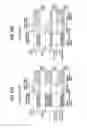 Fig. 18 - LIGHT IRRADIATION APPARATUS AND INFORMATION REWRITABLE SYSTEM
