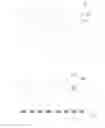 Fig. 02 - Apparatus having a decorative pattern