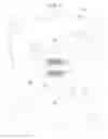 Fig. 02 - Refrigeration trailer air distribution chute