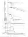 Fig. 09 - Control apparatus for vehicle