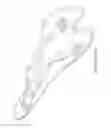 Fig. 09 - SEAT FOR BICYCLES