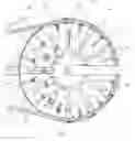 Fig. 01 - Chain transmission, particularly for bicycles, with continuously variable transmission ratio