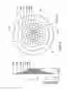 Fig. 06 - Multiple bicycle sprocket assembly