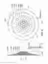 Fig. 07 - Multiple bicycle sprocket assembly
