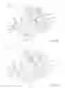 Fig. 19 - Underwater watercraft