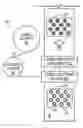 Fig. 01 - Automated labeling method and apparatus