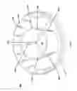 Fig. 03 - Rattle spherical dispensing cap
