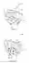 Fig. 05 - Drink cup lid