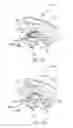 Fig. 09 - Drink cup lid