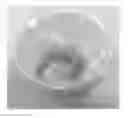 Fig. 01 - Antioxidant active food packaging