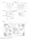 Fig. 06 - Apparatus of feeding workpieces with a mesh drum