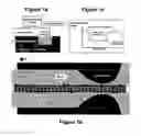 Fig. 02 - Nanonozzle device arrays: their preparation and use for macromolecular analysis