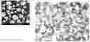Fig. 01 - CERAMIC COMPOSITE BEADS AND METHODS FOR MAKING THE SAME