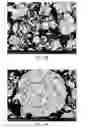 Fig. 28 - CERAMIC COMPOSITE BEADS AND METHODS FOR MAKING THE SAME