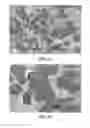 Fig. 03 - REFRACTORY METAL MATRIX-CERAMIC COMPOUND MULTI-COMPONENT COMPOSITE MATERIAL WITH SUPER-HIGH MELTING POINT