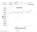 Fig. 04 - Multimetallic catalysts for selective hydrogenation of dienes and acetylenes, and purification of olefin feedstocks