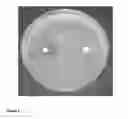 Fig. 04 - Antimicrobial compounds