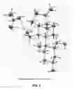 Fig. 06 - CRYSTALLINE SOLID FORMS OF THE ACETATE SALT OF (1S,3S,4R)-4-((3AS,4R,5S,7AS)-4-(AMINOMETHYL)-7A-METHYL-1-METHYLENEOCTAHYDRO-1H-INDEN-5-YL)-3-(HYDROXYMETHYL)-4-METHYLCYCLOHEXANOL