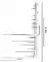 Fig. 07 - CRYSTALLINE SOLID FORMS OF THE ACETATE SALT OF (1S,3S,4R)-4-((3AS,4R,5S,7AS)-4-(AMINOMETHYL)-7A-METHYL-1-METHYLENEOCTAHYDRO-1H-INDEN-5-YL)-3-(HYDROXYMETHYL)-4-METHYLCYCLOHEXANOL