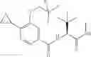 Fig. 77 - PHENYL DERIVATIVES AS CANNABINOID RECEPTOR 2 AGONISTS