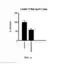 Fig. 05 - Inhibitors of EGFR and methods of use thereof