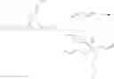 Fig. 146 - LSD1 inhibitors and uses thereof