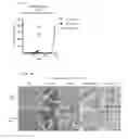 Fig. 02 - KDM4 INHIBITORS