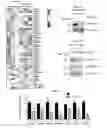 Fig. 08 - KDM4 INHIBITORS