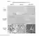 Fig. 13 - KDM4 INHIBITORS