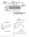 Fig. 02 - COMPOSITION HAVING COMPOUND ACCELERATING PHOSPHORYLATION OF AMPK AS EFFECTIVE COMPONENT