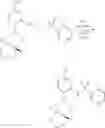 Fig. 22 - COMPOSITION HAVING COMPOUND ACCELERATING PHOSPHORYLATION OF AMPK AS EFFECTIVE COMPONENT