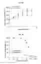 Fig. 07 - Autophagy inhibitors