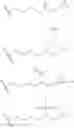 Fig. 37 - Autophagy inhibitors