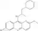 Fig. 99 - Autophagy inhibitors