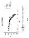 Fig. 03 - Aryl-substituted imidazoles