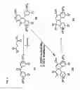 Fig. 06 - Photochromic compounds