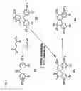Fig. 06 - Photochromic compounds