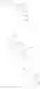 Fig. 293 - NOVEL TRICYCLIC COMPOUNDS